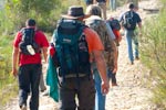 Survival Training